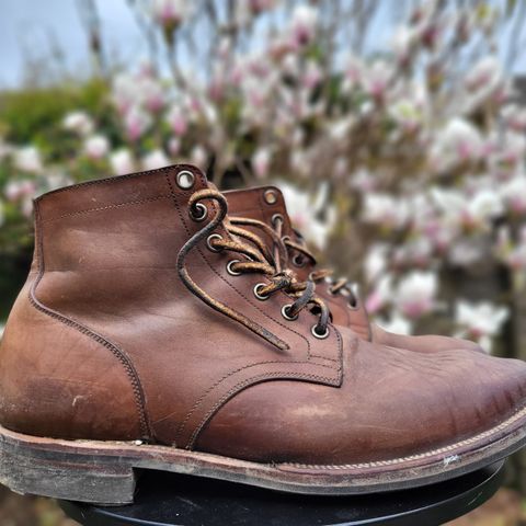 View photo of Viberg Service Boot in Maryam Toscanello Horsebutt