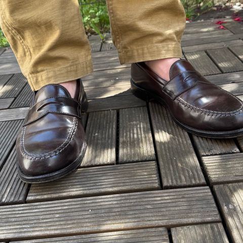 Alden Leisure Handsewn Moccasin in Horween Color 8 Shell Cordovan