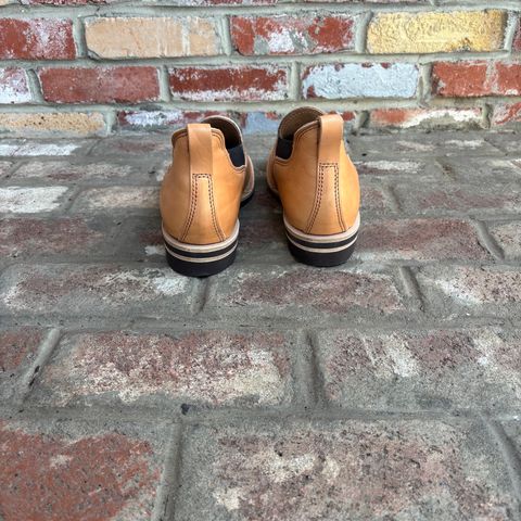 Wesco Romeo in Maryam Natural Horsebutt