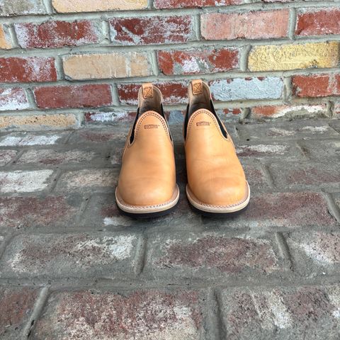 Wesco Romeo in Maryam Natural Horsebutt