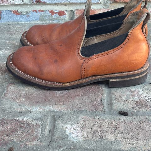 Wesco Romeo in Maryam Natural Horsebutt