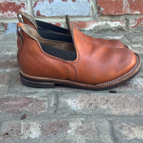 Wesco Romeo in Maryam Natural Horsebutt