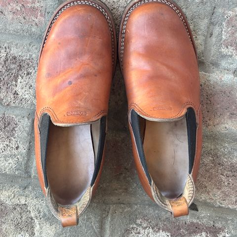 Wesco Romeo in Maryam Natural Horsebutt