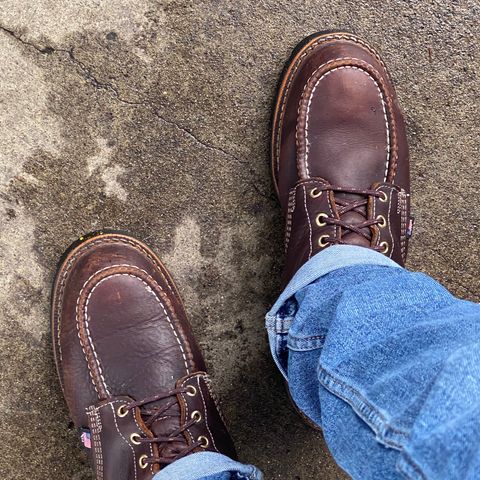 Thorogood 8" Moc Toe in Unknown Leather