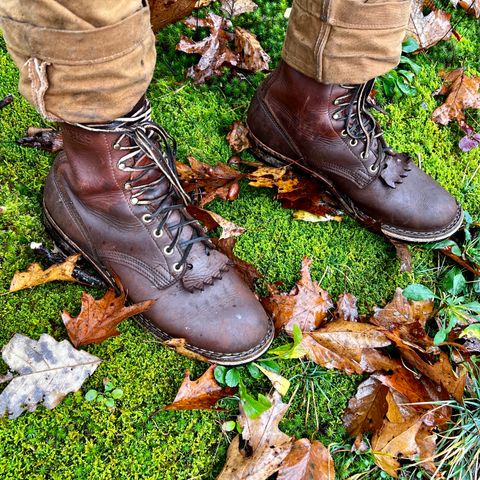 Nicks Ranger in Seidel 1964 Brown