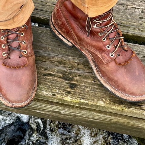Nicks Ranger in Seidel 1964 Brown