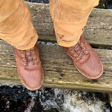 Nicks Ranger in Seidel 1964 Brown