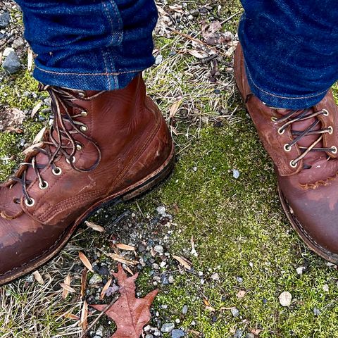 Nicks Ranger in Seidel 1964 Brown