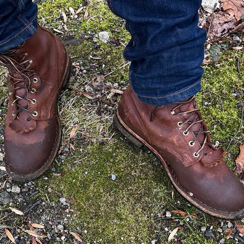 Nicks Ranger in Seidel 1964 Brown