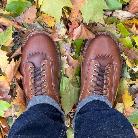 DIY Lace To Toe in Austrian Cow Leather, vegetable Tanned, (reversed) waxed flesh