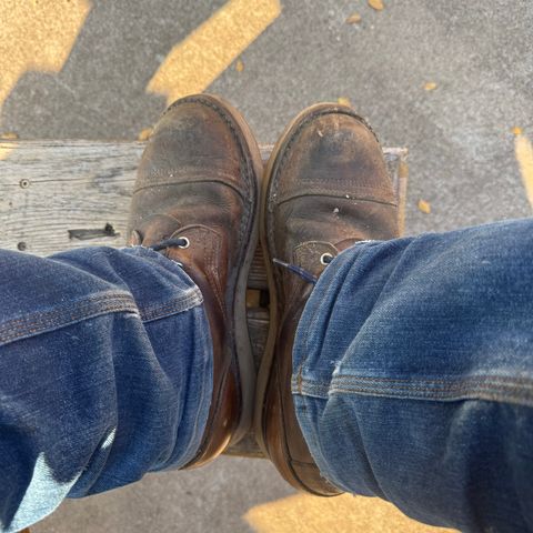 Nicks Traveler in Horween Orange Predator