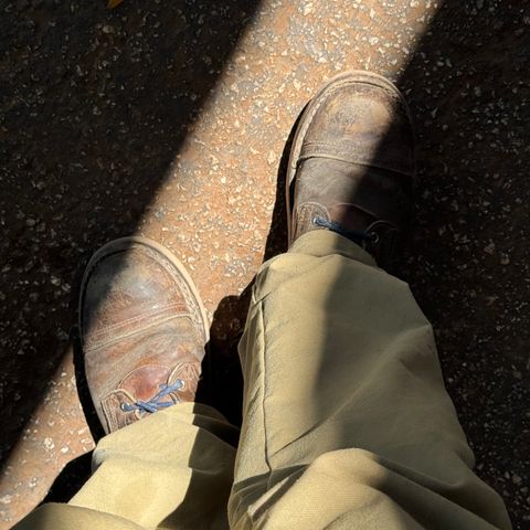 Nicks Traveler in Horween Orange Predator