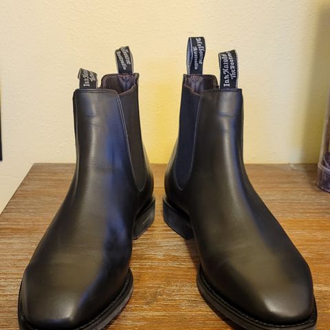 Harold Boot Company Grazier in Black Australian Yearling Calf