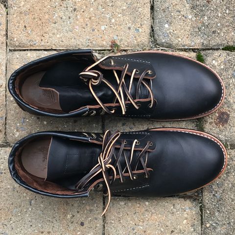 Red Wing Blacksmith in S.B. Foot Black Prairie