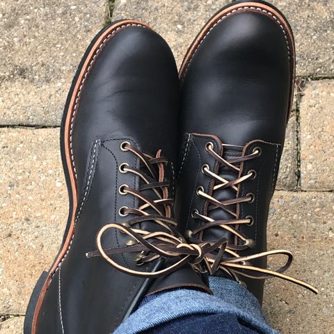 Red Wing Blacksmith in S.B. Foot Black Prairie