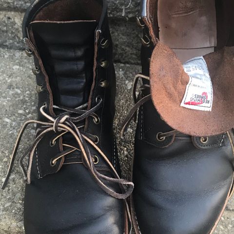 Red Wing Blacksmith in S.B. Foot Black Prairie