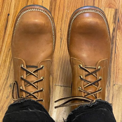Viberg Service Boot in Maryam Cuoio Horsebutt