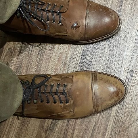 Meermin Jumper Boot in Tobacco Waxy Shell Cordovan