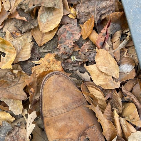 Meermin Jumper Boot in Tobacco Waxy Shell Cordovan