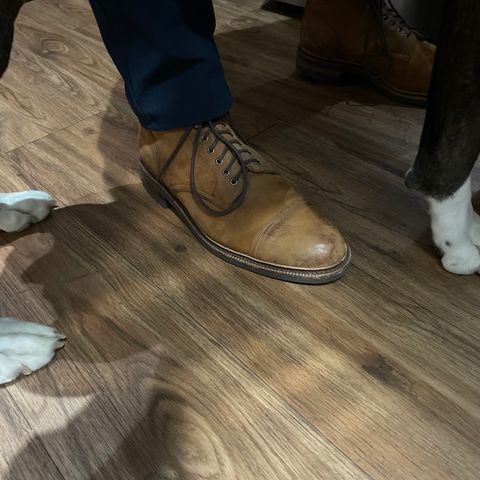 Meermin Jumper Boot in Tobacco Waxy Shell Cordovan