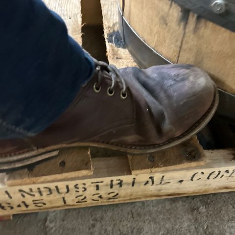 Search result thumbnail of Oak Street Bootmakers Trench Boot in Horween Color 8 Chromexcel