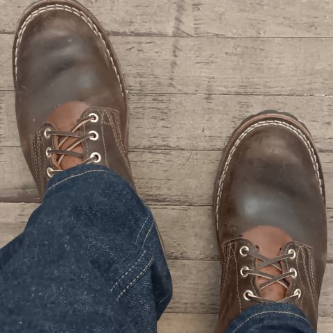 Nicks Overlander in Horween Brown Waxed Flesh