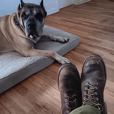 Nicks Overlander in Horween Brown Waxed Flesh