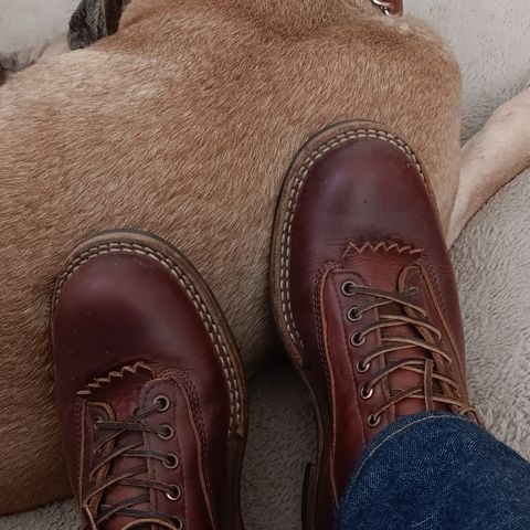 White's 350 Cutter in Seidel British Tan Double Shot