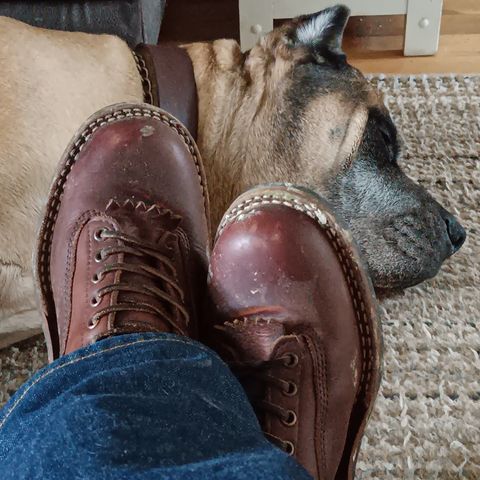 White's 350 Cutter in Seidel British Tan Double Shot