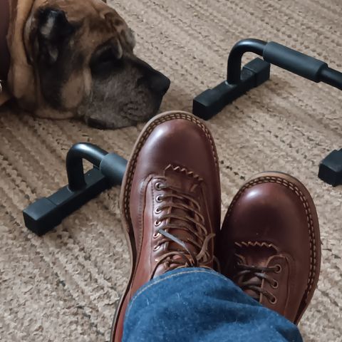 White's 350 Cutter in Seidel British Tan Double Shot
