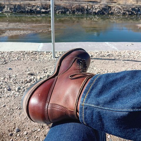 White's 350 Cutter in Seidel British Tan Double Shot
