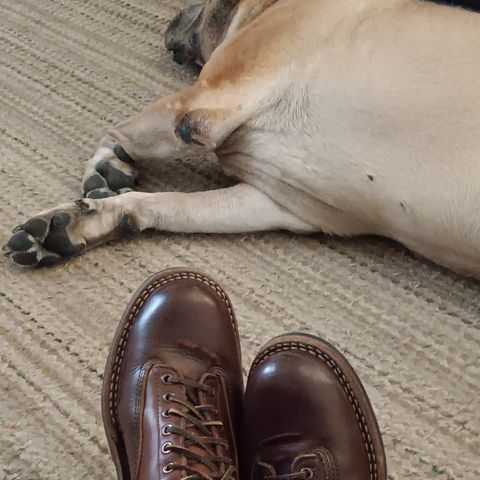 White's 350 Cutter in Seidel British Tan Double Shot