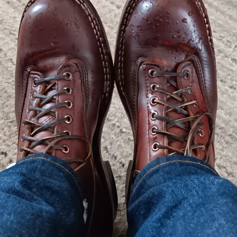 White's 350 Cutter in Seidel British Tan Double Shot