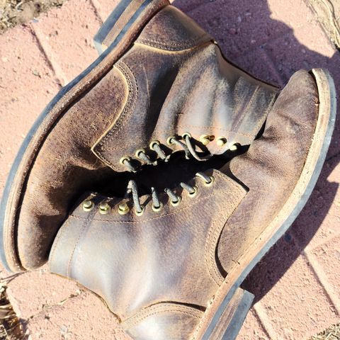 Oak Street Bootmakers Trench Boot in Dark Waxy Wild Boar