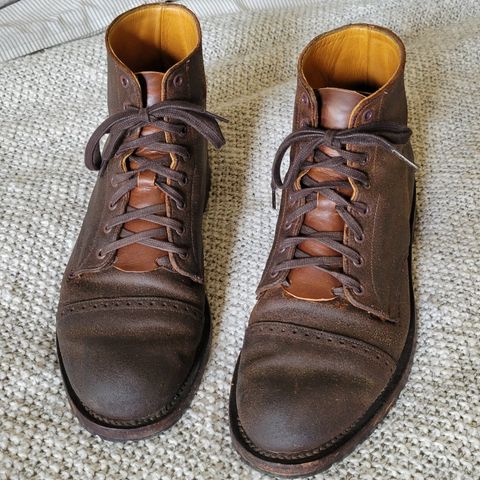 Unmarked Suno in C.F. Stead Brown Waxy Commander