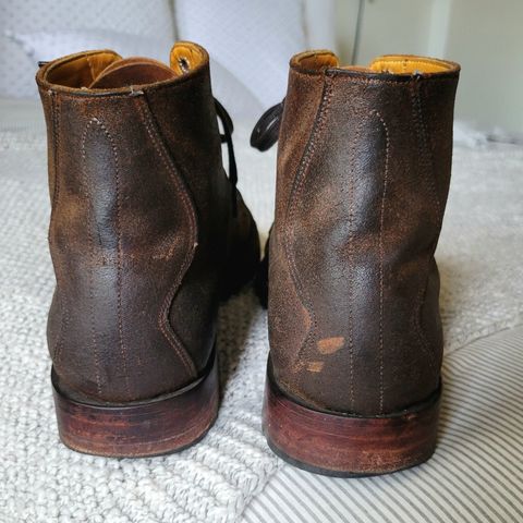 Unmarked Suno in C.F. Stead Brown Waxy Commander