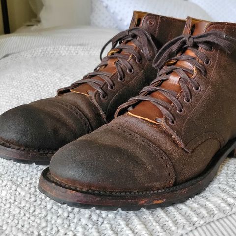 Unmarked Suno in C.F. Stead Brown Waxy Commander