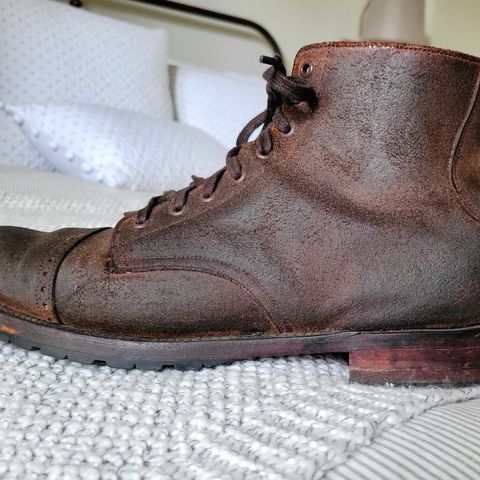Unmarked Suno in C.F. Stead Brown Waxy Commander