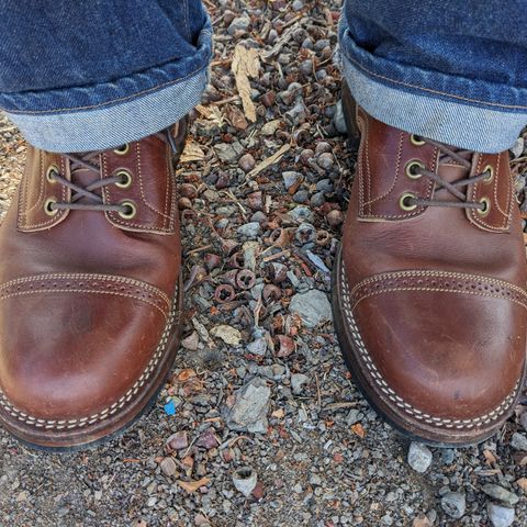 Onderhoud SBC01 in Wickett & Craig Medium Brown Traditional Harness