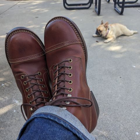 Onderhoud SBC01 in Wickett & Craig Medium Brown Traditional Harness