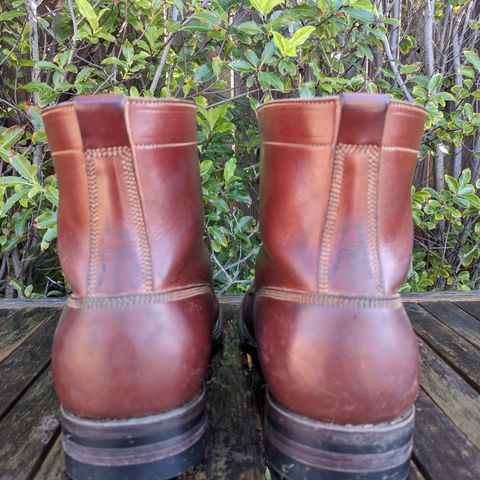 Onderhoud SBC01 in Wickett & Craig Medium Brown Traditional Harness