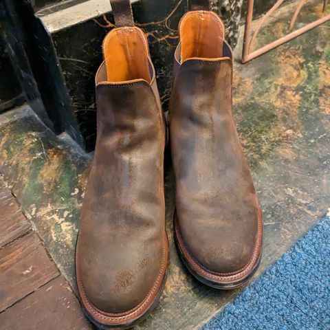 Viberg Chelsea in C.F. Stead Snuff Waxy Commander Suede