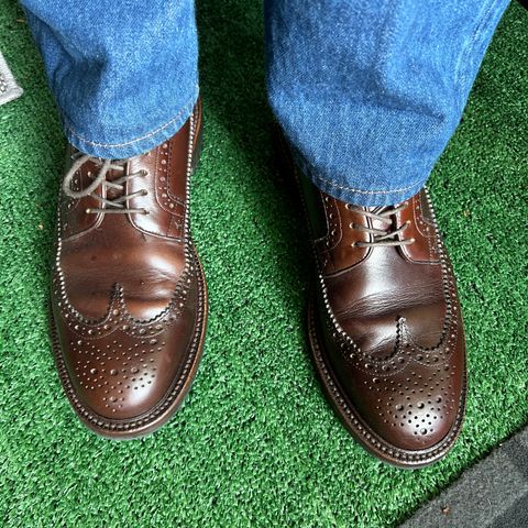 Grant Stone Longwing in Horween Crimson Chromexcel
