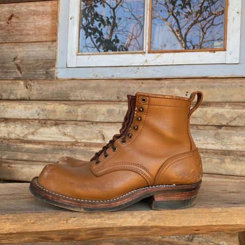 Nicks Robert in Seidel Tan Teton