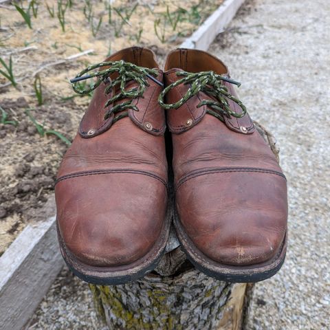 View photo of Hook & Punch Derby Shoe in Conceria MPG Aragona English Tan