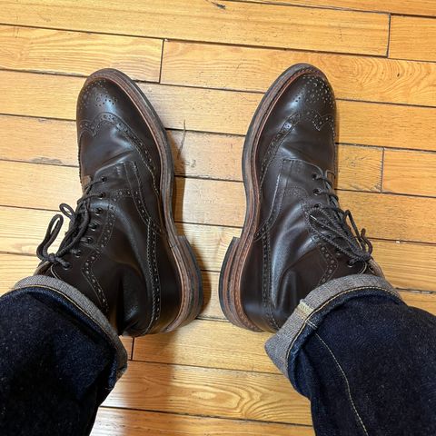 Tricker's Stow Country Boot in Cafe Burnished Calf