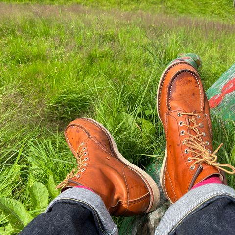 View photo of Red Wing 6-Inch Classic Moc in S.B. Foot Oro Legacy