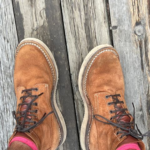White's C350-CS in Seidel Red Dog Oil Tan Roughout