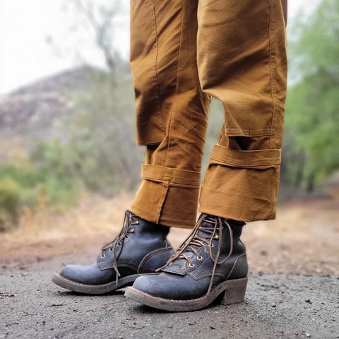 Nicks Robert in Wickett & Craig Black Traditional Harness