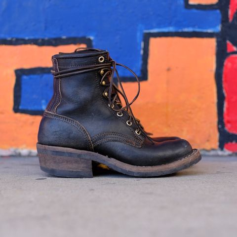 Nicks Robert in Wickett & Craig Black Traditional Harness